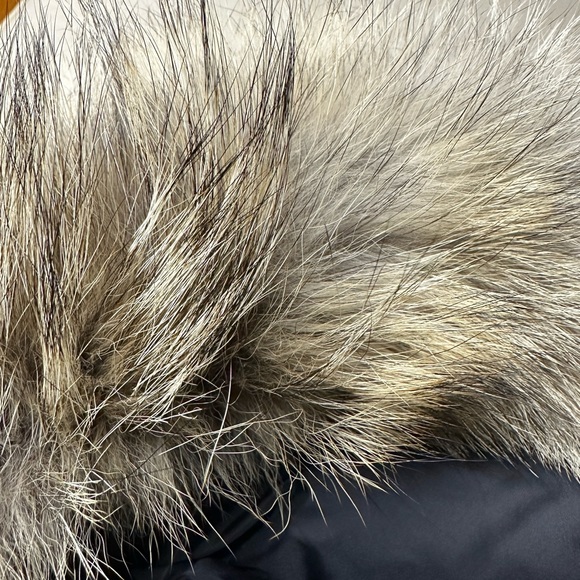 Canada Goose Macculloch Winter Down Parka Coyote Fur $1399 Large - Picture 11 of 16